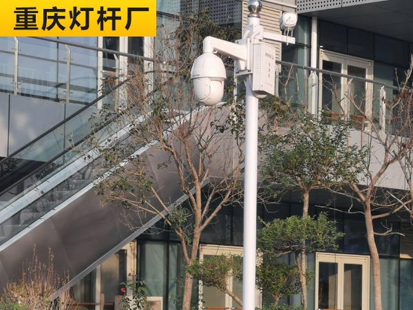 电子警察杆02