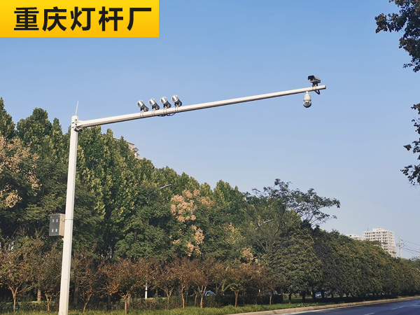 电子警察杆03