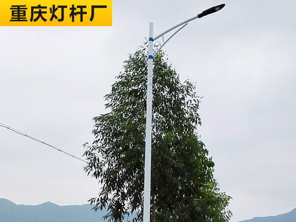 路灯杆工程