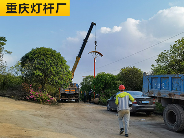 重庆农家乐路灯杆工程案列