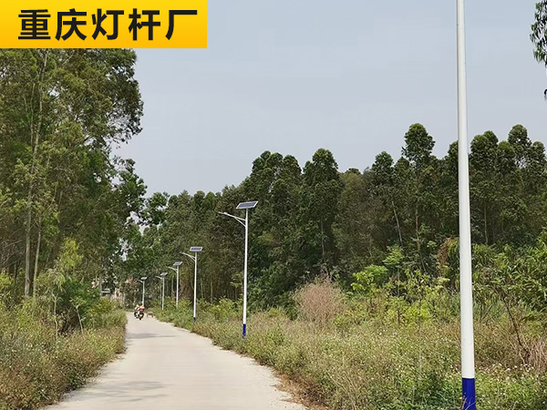 重庆乡村道路太阳能路灯工程