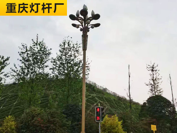 重庆玉兰灯案列