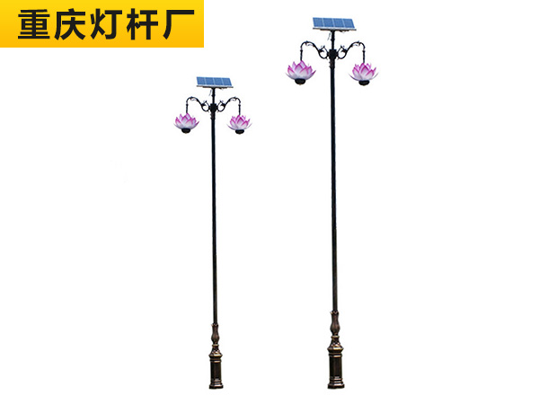 荷花景观灯